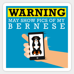 Bernese Mountain Dog, May Show Pics of My Sticker